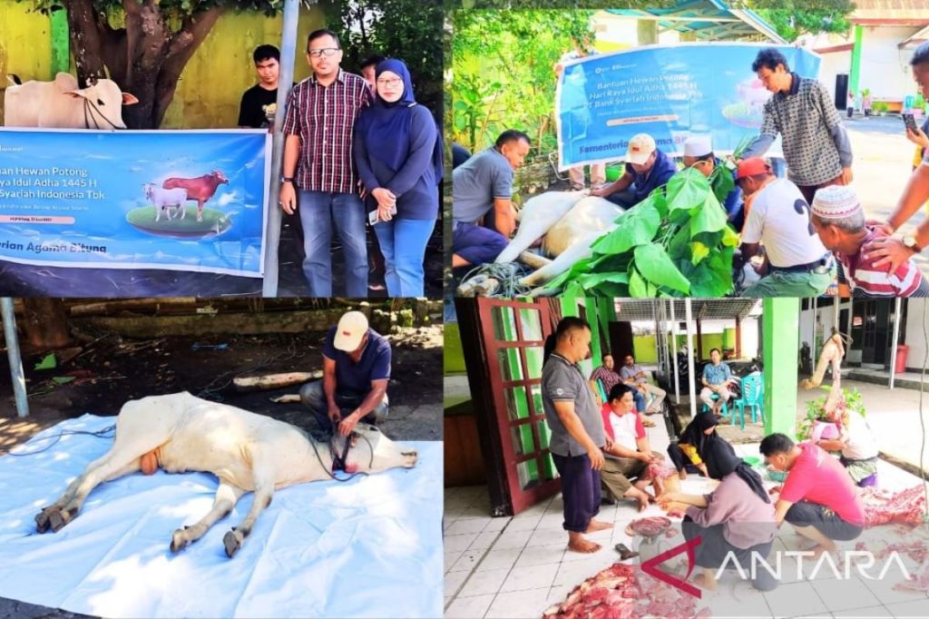 Kemenag bersama BSI bawa berkah lewat hewan kurban bagi sesama di&nbsp;Bitung