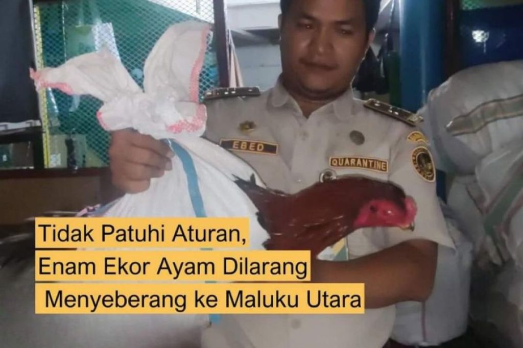 Karantina tahan unggas tanpa pemeriksaan&nbsp;kesehatan