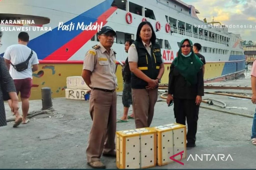 Balai Karantina tahan pengiriman unggas berisiko tularkan flu&nbsp;burung